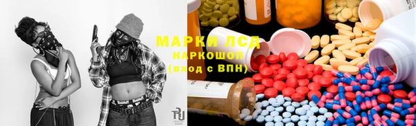 PSILOCYBIN Алзамай