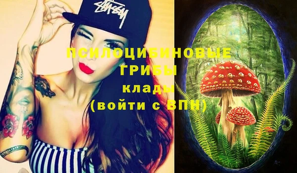 PSILOCYBIN Алзамай