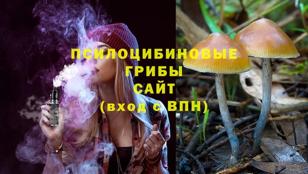 PSILOCYBIN Алзамай