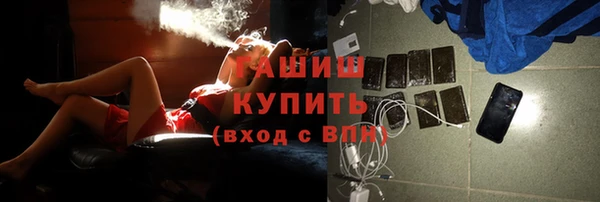 PSILOCYBIN Алзамай