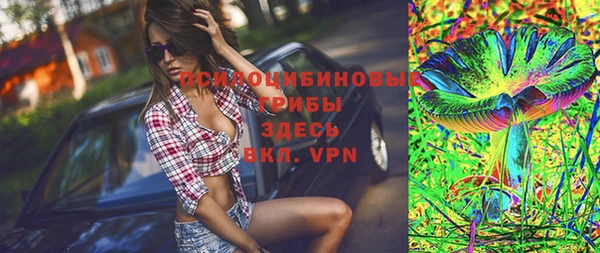 PSILOCYBIN Алзамай