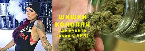 PSILOCYBIN Алзамай