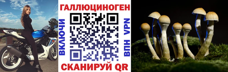 omg сайт Дегтярск Псилоцибиновые грибы мухоморы